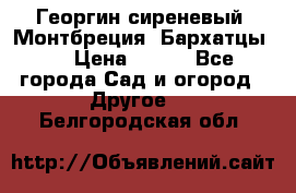 Георгин сиреневый. Монтбреция. Бархатцы.  › Цена ­ 100 - Все города Сад и огород » Другое   . Белгородская обл.